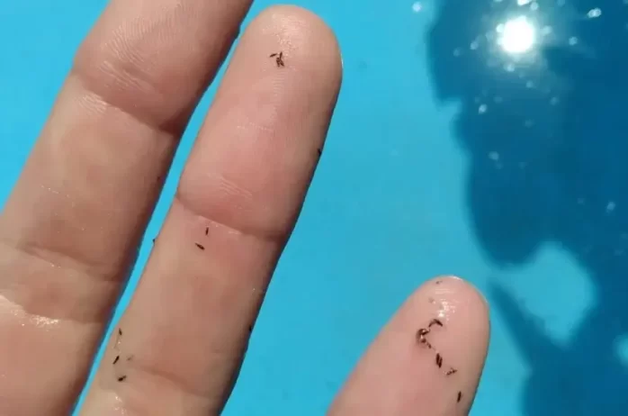 Imagen #1 de Andrea Romero